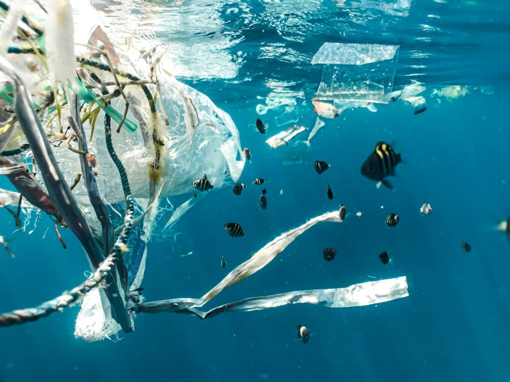 Sampah plastik menggangu ekosistem laut