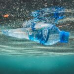 The Hidden Threat of Microplastics Endangering Marine Ecosystems and Our Lives