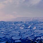 What is the Greenhouse Effect and How to Reduce it to Avoid Global Warming?